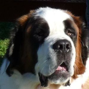 Meet your Posher, Charles